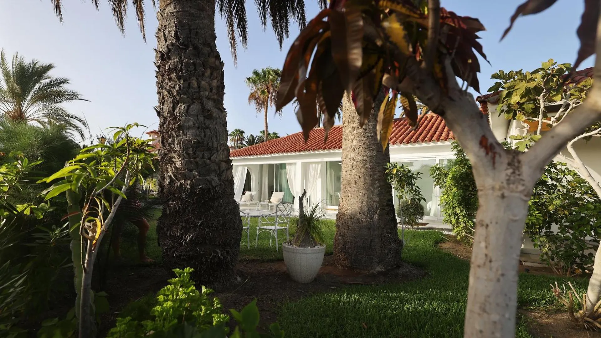 Sun Club Bungalow Superior Maspalomas  Lejlighed