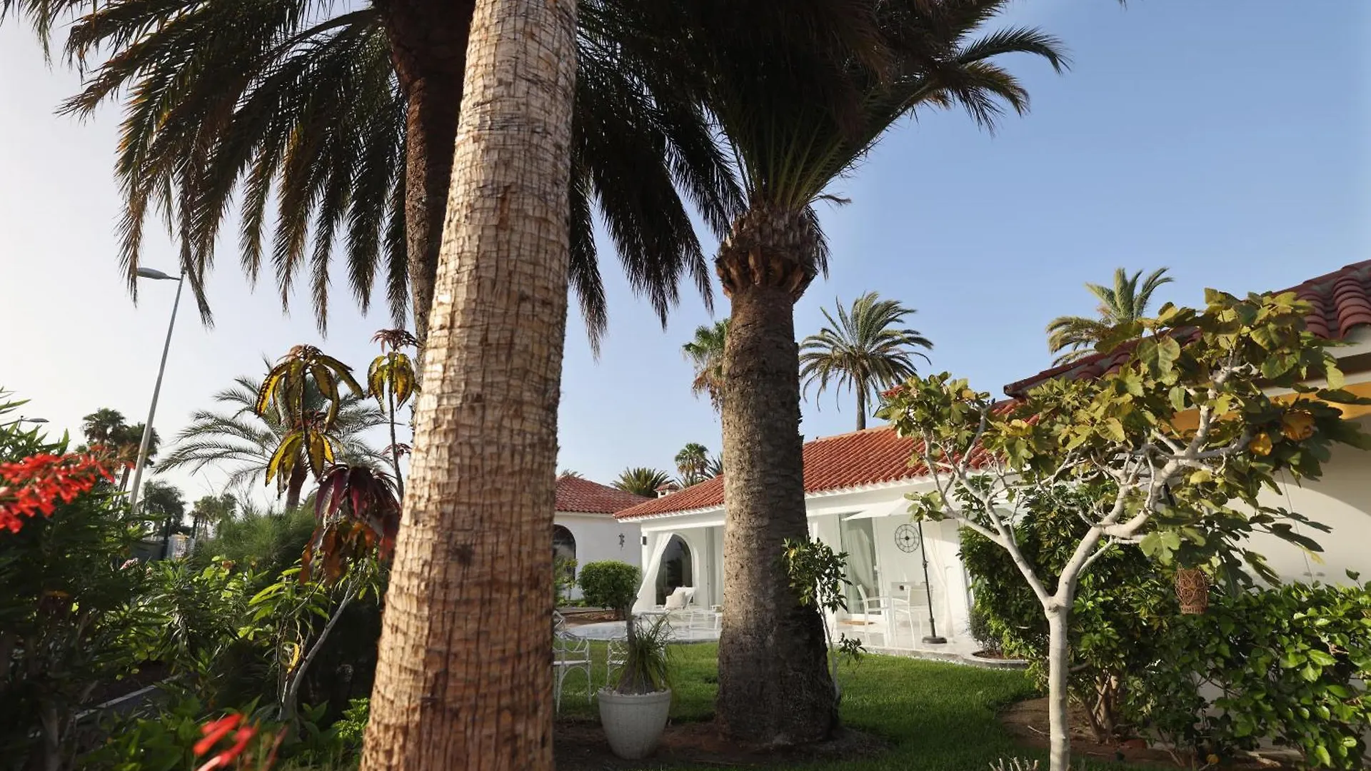 דירה מספאלומס Sun Club Bungalow Superior