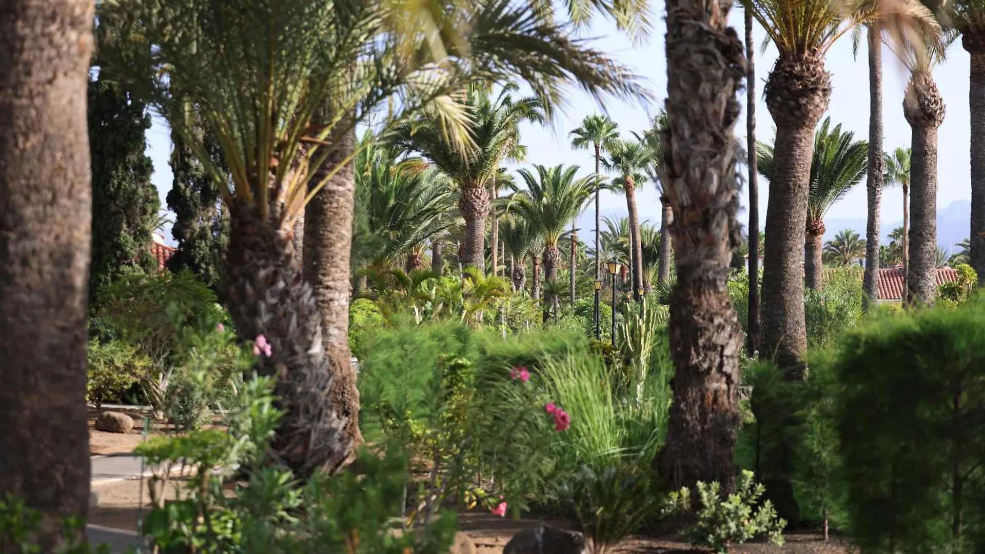מספאלומס Sun Club Bungalow Superior
